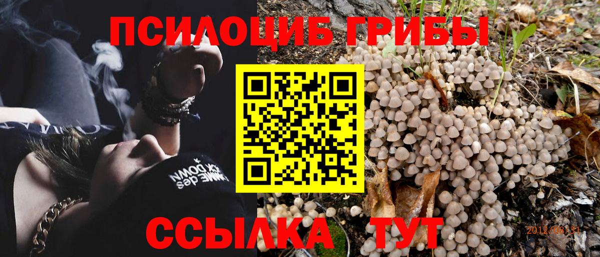 Псилоцибиновые грибы мухоморы Вязьма
